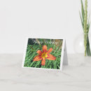 Suche nach orange geburtstag karten Blüten