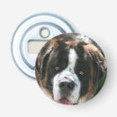 Suche nach bernhardiner hund wohnen zuhause Haustiere