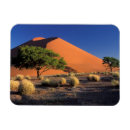 Suche nach namib magnete Trocken