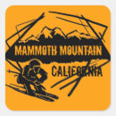 Suche nach mammut aufkleber Ski