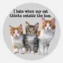 Suche nach katze aufkleber Kitte