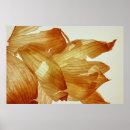 Suche nach hintergrundbeleuchtung poster Tag