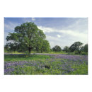 Suche nach wiese poster Bauernhof