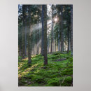 Suche nach baden württemberg poster Schwarzwald