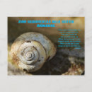 Suche nach schnecke poster Braun