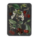 Suche nach botanisch magnete Küche