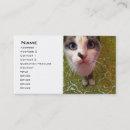 Suche nach graue katze visitenkarten Blau