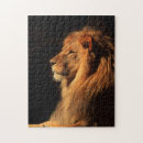 Suche nach afrikanischer löwe puzzle Große katzen