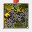 Suche nach rebe ornamente Traube