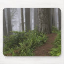 Suche nach farne mousepads Nationalpark