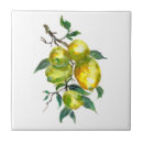 Suche nach exotische frucht fliesen Früchte