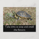 Suche nach halbinsel postkarten Blume