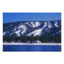 Suche nach california bear poster Großbärensee