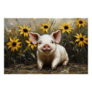 Suche nach schlamm poster Schwein