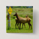 Suche nach wildlife buttons Natur