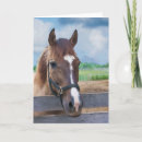 Suche nach braunes pferd karten Pony