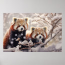 Suche nach bunter panda poster Tier