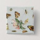 Suche nach motte buttons Insekt