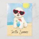 Suche nach bichon frise postkarten Bichonfrische