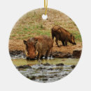 Suche nach stoßzähne ornamente Afrika