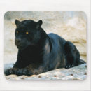 Suche nach panther mousepads Schwarzes