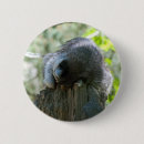 Suche nach waschbär buttons Säugetier