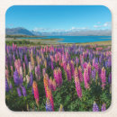 Suche nach neuseeland untersetzer Blume
