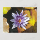 Suche nach perfekt postkarten Blume