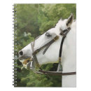 Suche nach reiter notizbuch Aquarell