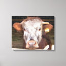 Suche nach kühe leinwandbilder Aquarell