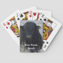 Suche nach stier spielzeug spiele Western