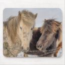 Suche nach reiten mousepads Landschaft