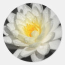 Suche nach teiche aufkleber Lilien