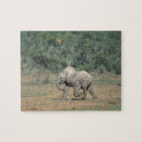 Suche nach südafrika puzzle Natur