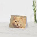 Suche nach ortho karten Katzenliebhaber