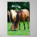 Suche nach pony poster Liebe