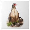 Suche nach hinterhof fliesen Haustier