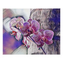 Suche nach rosa holz poster Blume