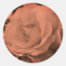 Suche nach rosenblüten aufkleber Botanisch