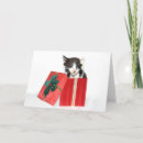 Suche nach weihnachtskätzchen postkarten Katzenliebhaber