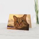 Suche nach merchbooth karten Katze