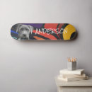 Suche nach boxer skaten Hund