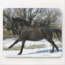 Suche nach wildes pferd mousepads Reiter