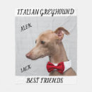 Suche nach italienischer windhund decken Hunde