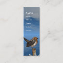 Suche nach robin visitenkarten Vogelbeobachter