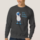 Suche nach boobie Vogel