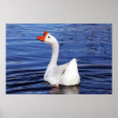 Suche nach blaues wasser poster Weiß