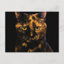 Suche nach torti postkarten Cat