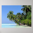 Suche nach malediven poster Tropisch