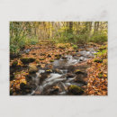 Suche nach blaue wildblumen postkarten Wald